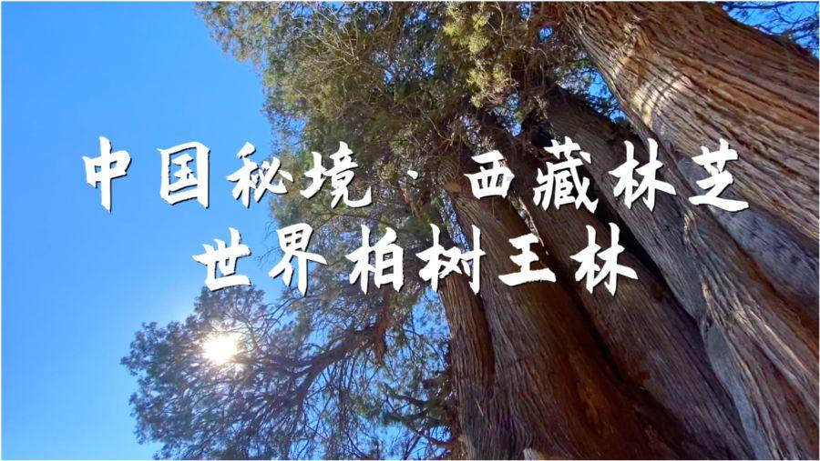 男生真的爱一个人,会在乎年龄吗?,发现更多乐趣